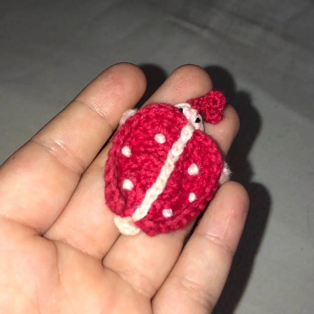 Hanna Andersson Crochet ladybug, necklace heart bracelet